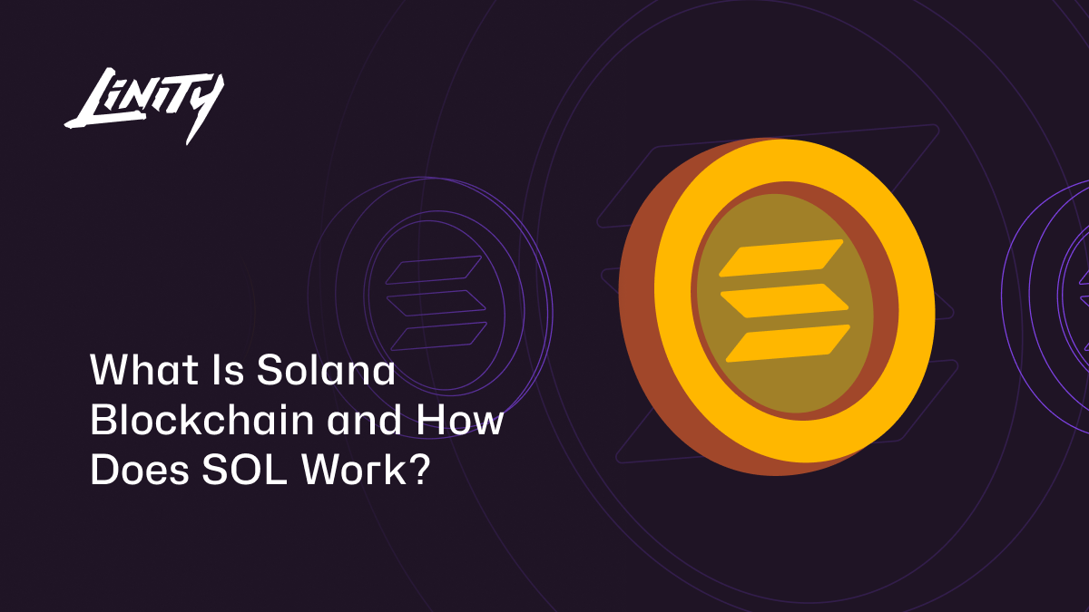 What Is Solana Blockchain? (+ Learn What SOL Is Used For)